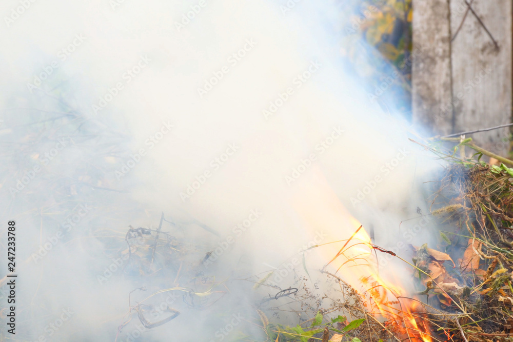Burning dry grass with smoke close up