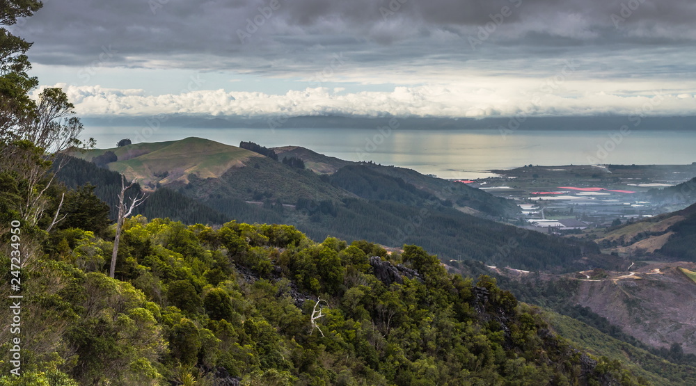 View from Hawkes Lookout, Nelson, New Zealand.