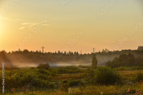 landscape sunset sun evening haze forest nature field panorama  