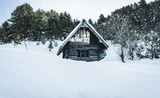 House in winter forest