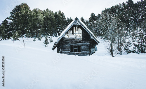 House in winter forest