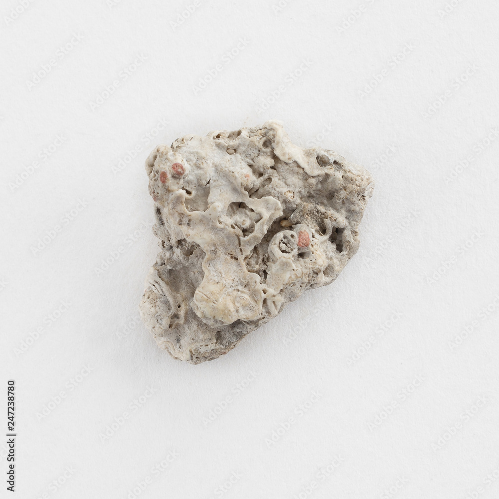 Sea pebble on a white background