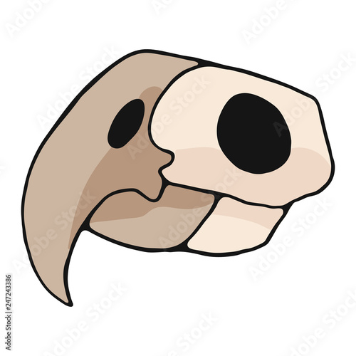 Parrot skull cartoon vector illustration motif set. Hand drawn isolated bird bone elements clipart for nature blog, natural history bone skeleton graphic, anatomy education web buttons.