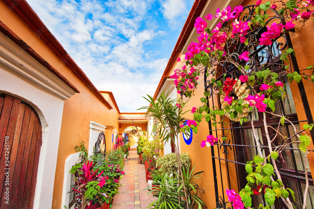 Naklejka premium Oaxaca, Scenic old city streets and colorful colonial buildings in historic city center