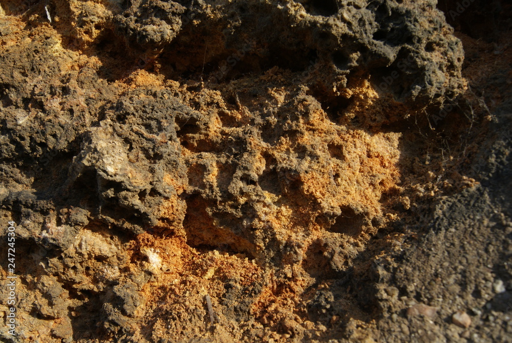 texture texture