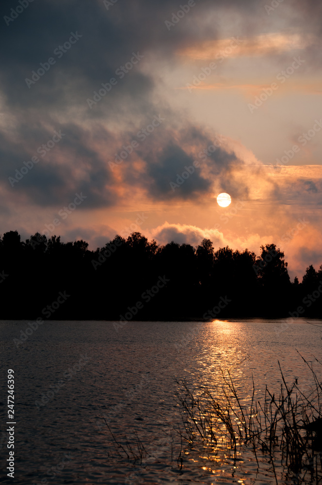Fototapeta premium sunrise in the forest by the lake