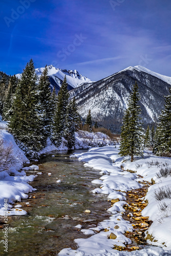 Mountain stream with fresh snow on sunny day