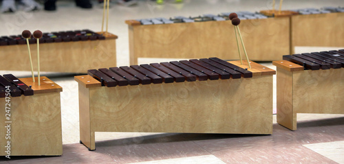 Student Diatonic Xylophone with mallets photo