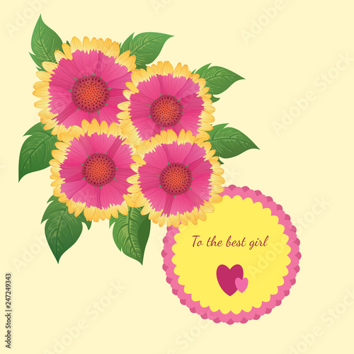 Vector floral illustration with gaillardia flowers