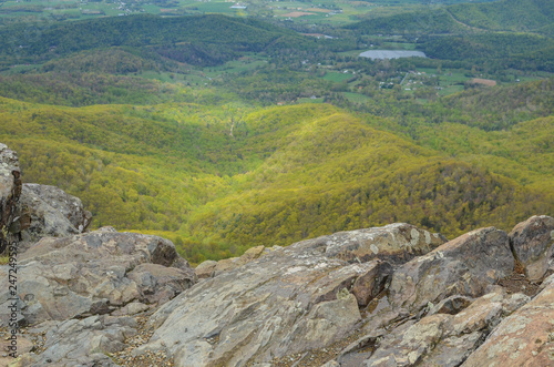 View from the top of Little Stony Man mountain in Shenandoah National Park on a foggy spring day. Focus on the rocks in foreground, trees in valley intentionally blurred
