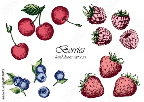 Set of strawberries, raspberries, blueberries and cherries. Hand drawn vector illustration. Isolated elements for design.