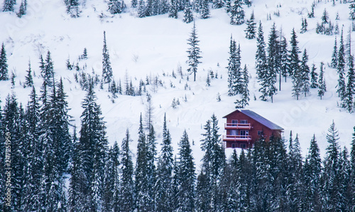 Red House on the hill in the winter