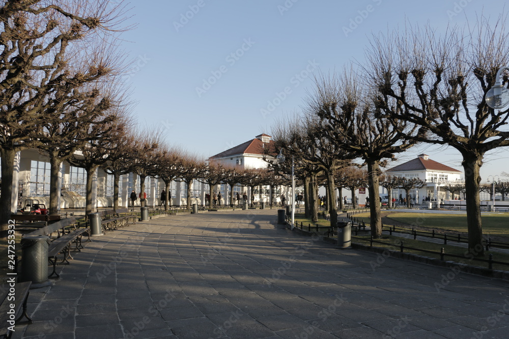 Spa square in Sopot. Baltic Sea coast during winter. A frosty, sunny, nice day. People, tourists walking along the promenade with trees. In the background buildings, pier, blue, cloudless, clear sky.