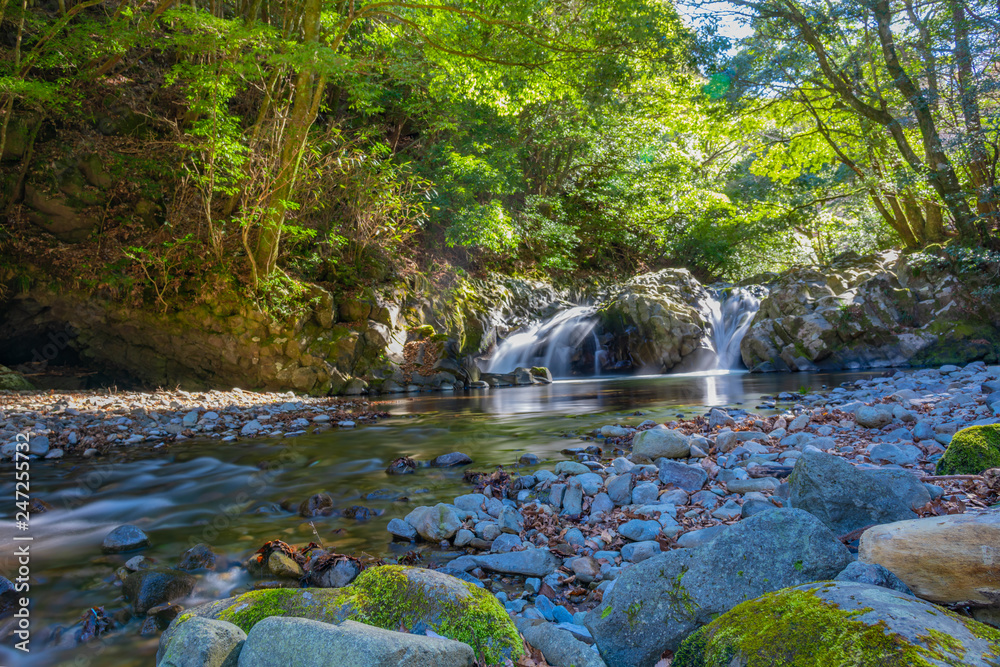 Obraz premium 静岡県伊豆市 滑沢渓谷