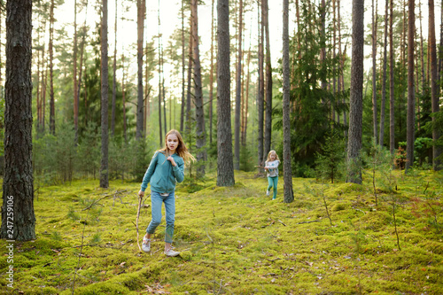 Two cute young sisters having fun during forest hike on beautiful summer day. Active family leisure with kids.