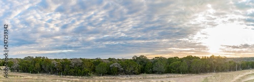 Panoramic View of Large Field of Trees with barbwire Fencing