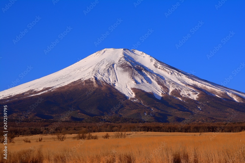 Mt.Fuji of blue sky from 