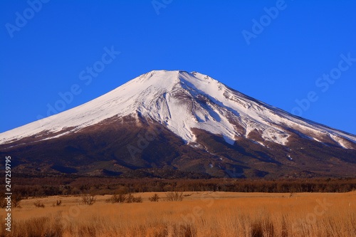 Mt.Fuji of blue sky from  Nashigahara  Yamanashi Prefecture Japan 02 03 2019