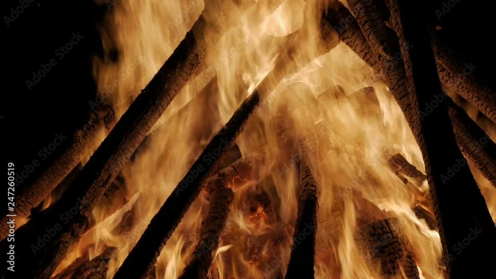 Campfire In The Night. Burning logs in orange flames close up. Red flames surging up. Zoom.