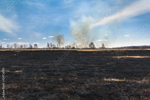 Burned field and smoke in the forest after wildfire under a blue sky at the background.