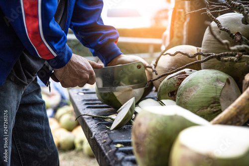 A man  are sorting coconut for cutting and arranging for breeding, such as coconut in the farm. - image