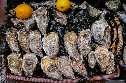 Canvas Print Typical french raw food oyster in Paris Metropolitan City