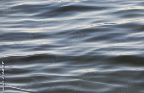 wavy sea surface 