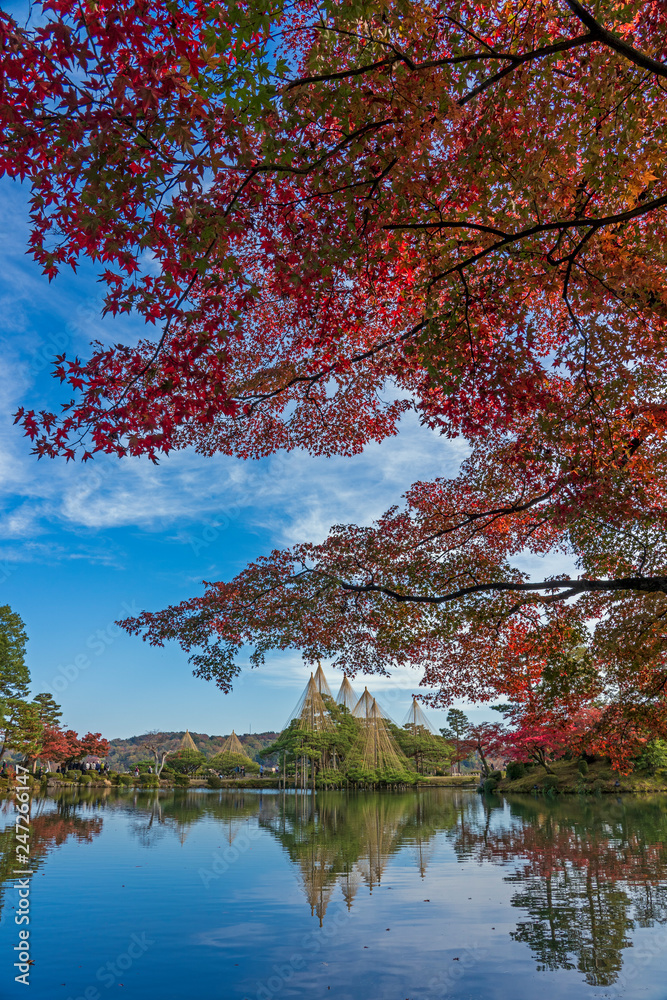 秋の金沢旅行　紅葉の兼六園　霞ヶ池と唐崎松