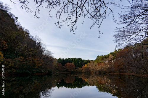 晩秋の池 水面に映る木々