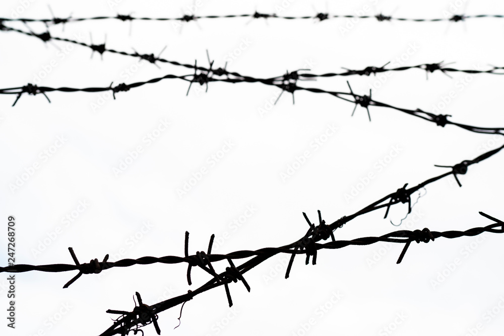 barbed wire - freedom barbed wire - freedom