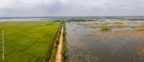 Ricefield at Cambodia in Summer - take photo by drone on July photo