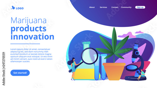 Scientists with magnifier doing cannabis innovations research. Marihuana products innovation, cannabis research, cannabinoid product science concept. Website vibrant violet landing web page template.
