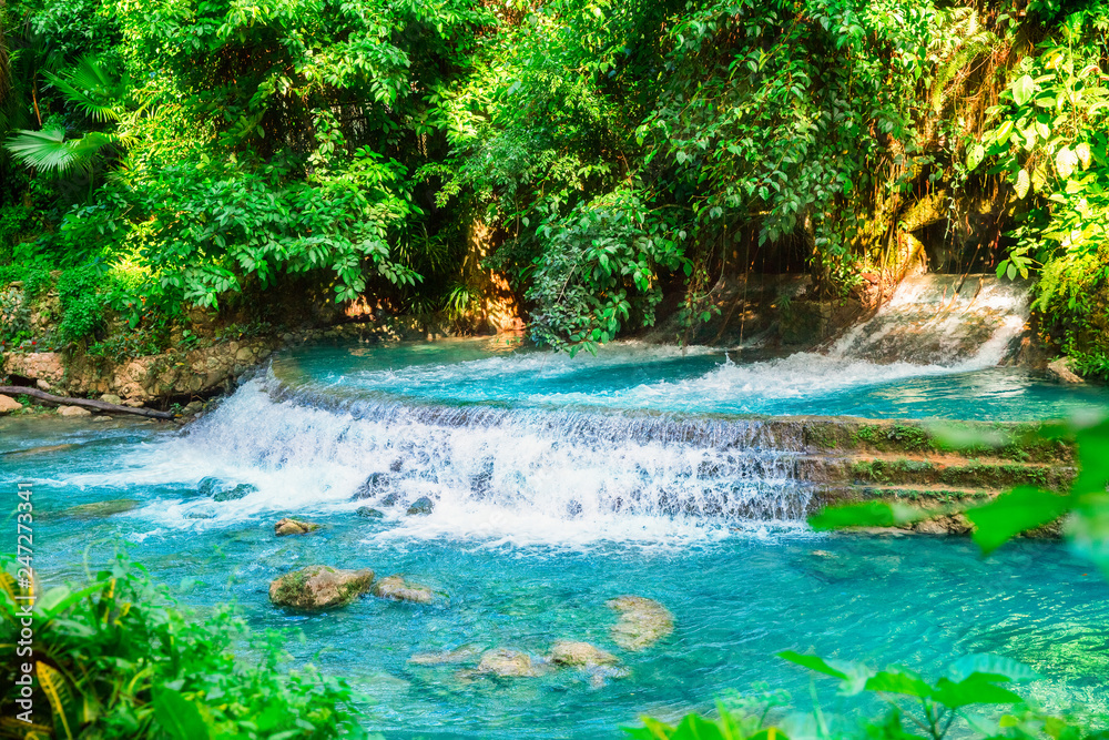 Naklejka premium Kawasan waterfall in a mountain gorge in the tropical jungle of the Philippines, Cebu.
