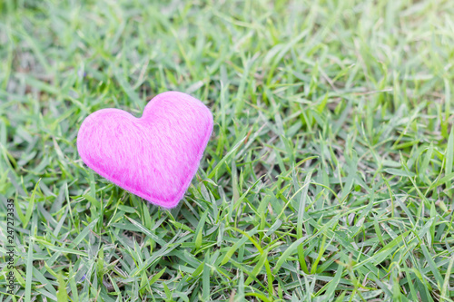 The pink heart shape on green grass with sunlight for love  Valentine s day concept
