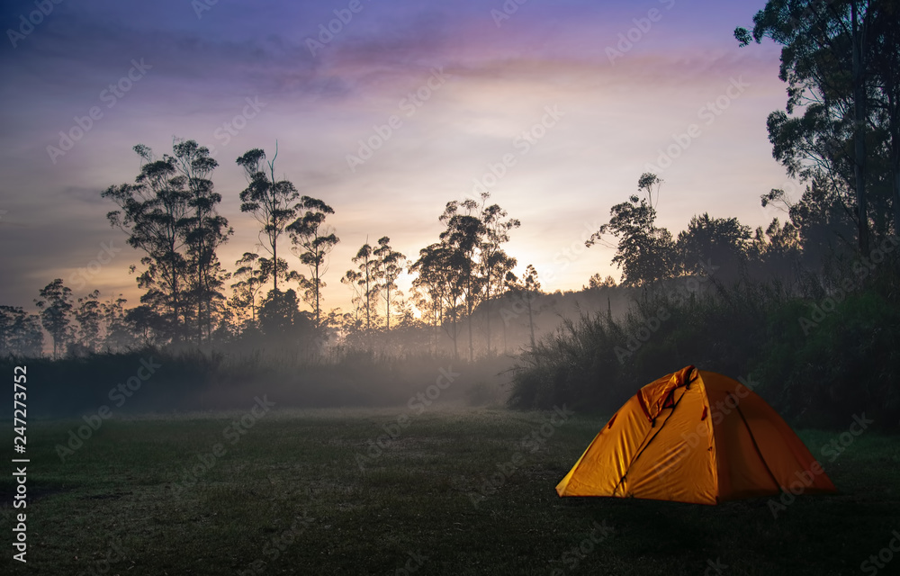 Camping Tent Beside Forest on Misty/Foggy Morning On Sunrise/Sunset. Concept of Active Outdoor Recreation with Sense of Adventure