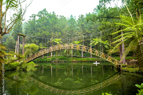 The University Pond, a sightseeing spots in Xitou Nature Education Area which is a forest park in Nantou county, Taiwan. photo