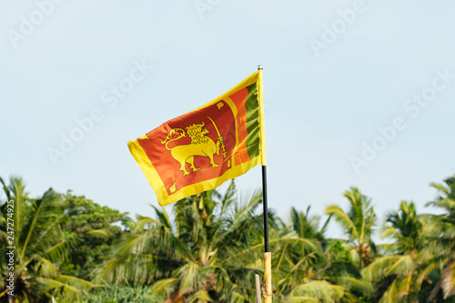 National Flag of the Sri-Lanka in the wind 