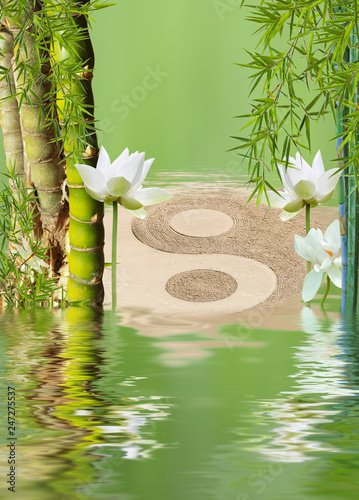 bambous à noeud, lotus et symbole yin yang I