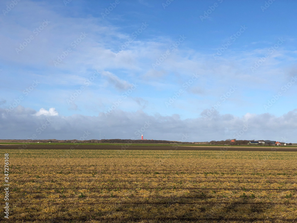 Landscape from Texel island