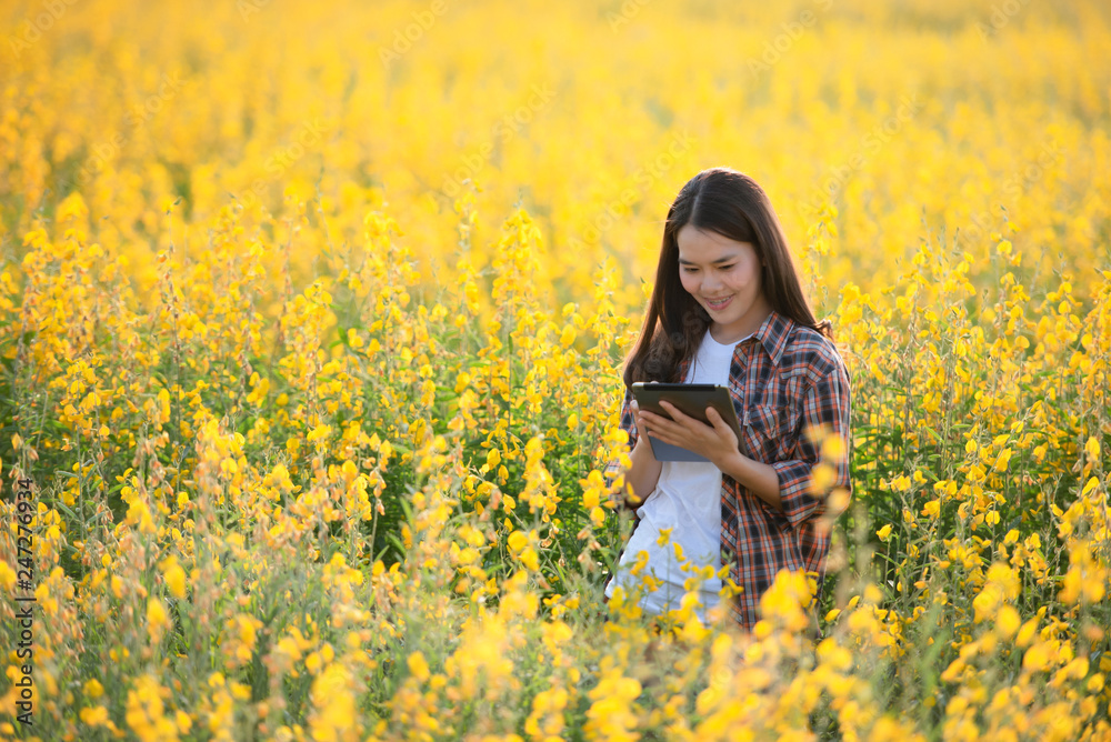 Female agricultural researcher examines plants that can be grown to nourish the soil and also have beautiful flowers in Asia. Female agricultural researcher examines plants that can be grown to nourish the soil and also have beautiful flowers in Asia.