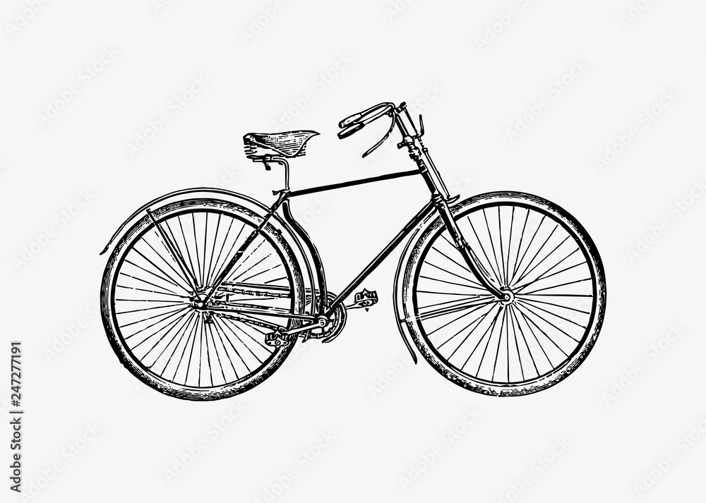 Bicycle vintage design illustration