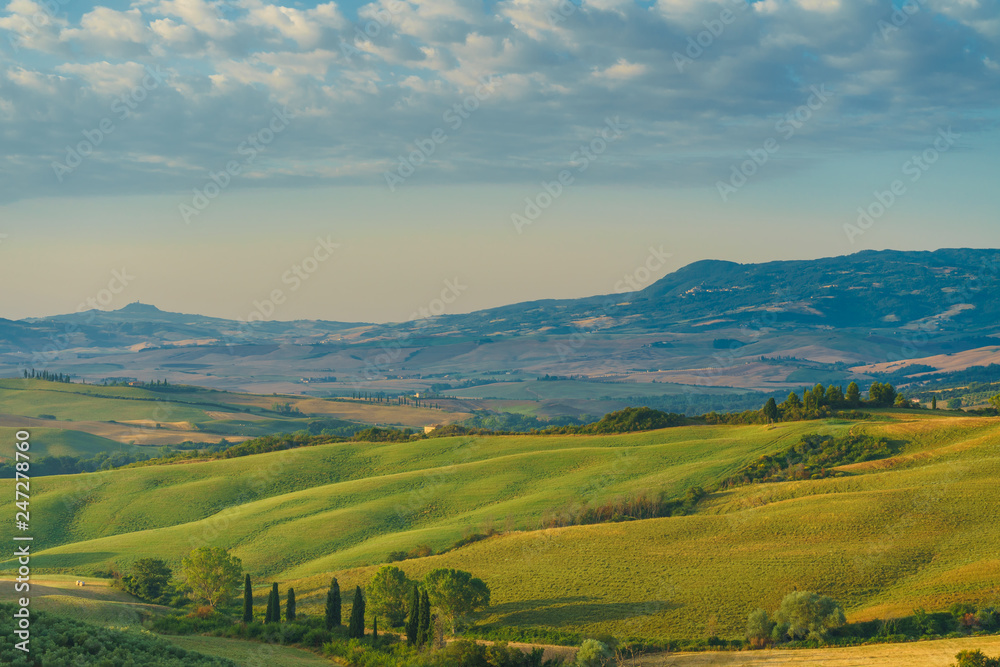 Early morning in Tuscany Val d Orcia