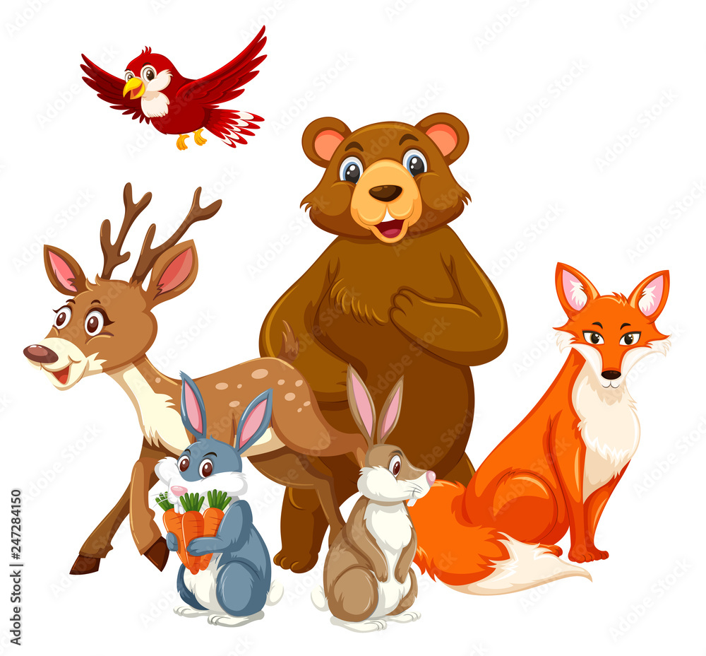 Group of wild animal Group of wild animal