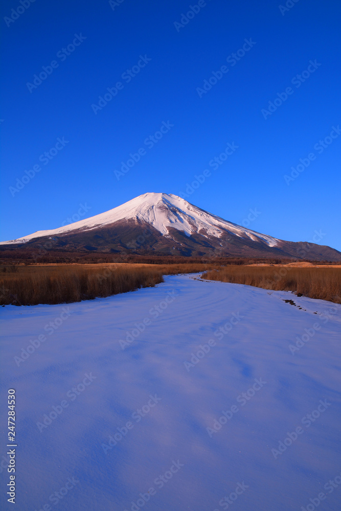 梨ヶ原からの雪景色の青空の富士山　2019/02/03