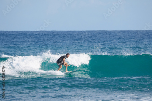 Surfer on blue Atlantic Ocean wave. Tropical winter. Shortboard.