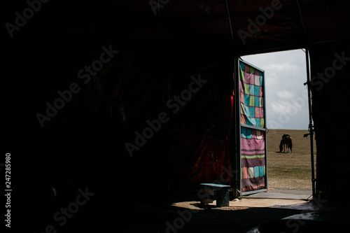 horse through the door of a yurt