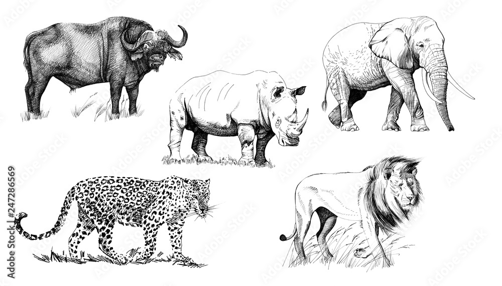 Forest Animals Stream Stock Illustrations – 742 Forest Animals Stream Stock  Illustrations, Vectors & Clipart - Dreamstime