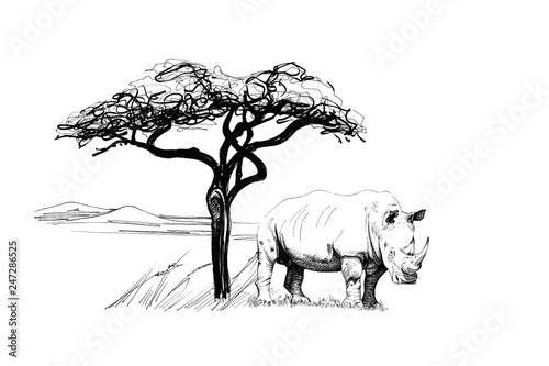 Photography Rhino near a tree in africa. Hand drawn illustration