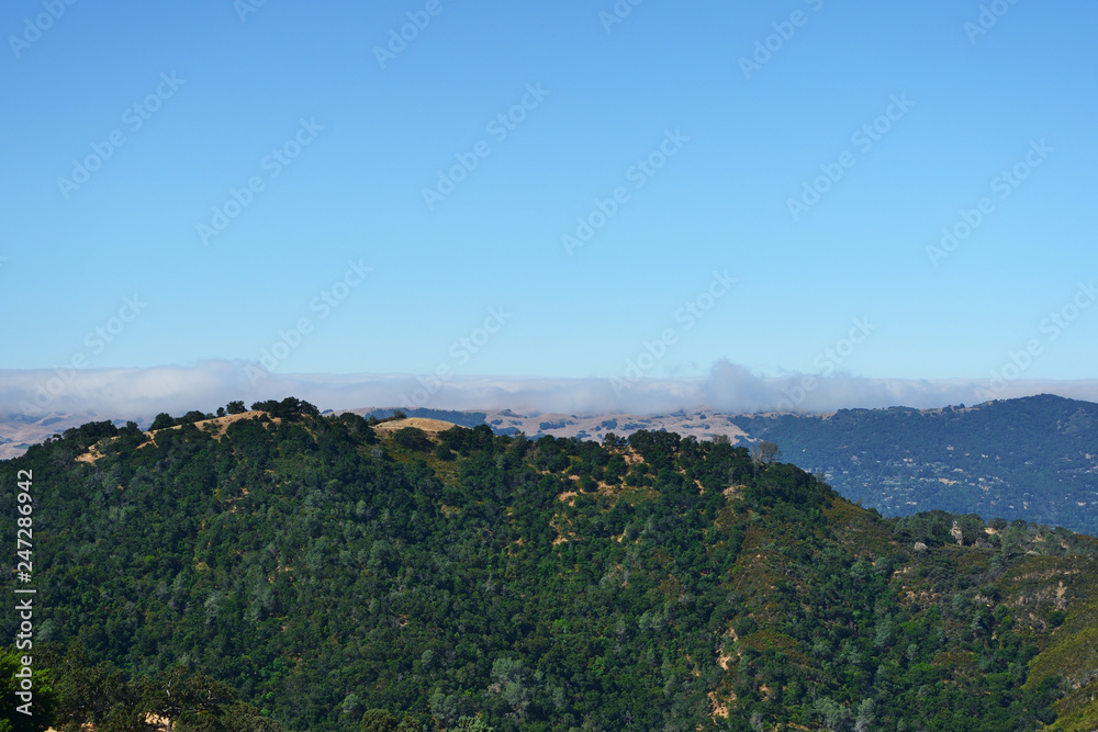 Fototapeta premium Mountain landscape in Mount Diablo State Park, Northern California, USA