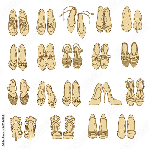 Lady's shoes illustration,